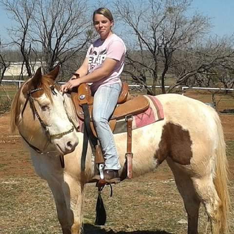 BM  Bronc Halter - Saddle Bronc Riding; Leather