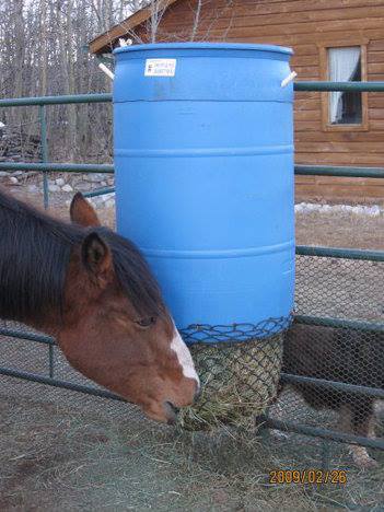 Viewing a thread Anybody recommend a slow hay feeder Or DIY